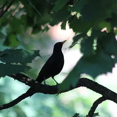 Appartement Budasmile At Buda Castle - Aircon & Free Parking Boedapest